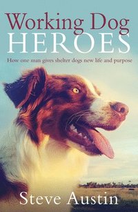 bokomslag Working Dog Heroes: How One Man Gives Shelter Dogs New Life and Purpose