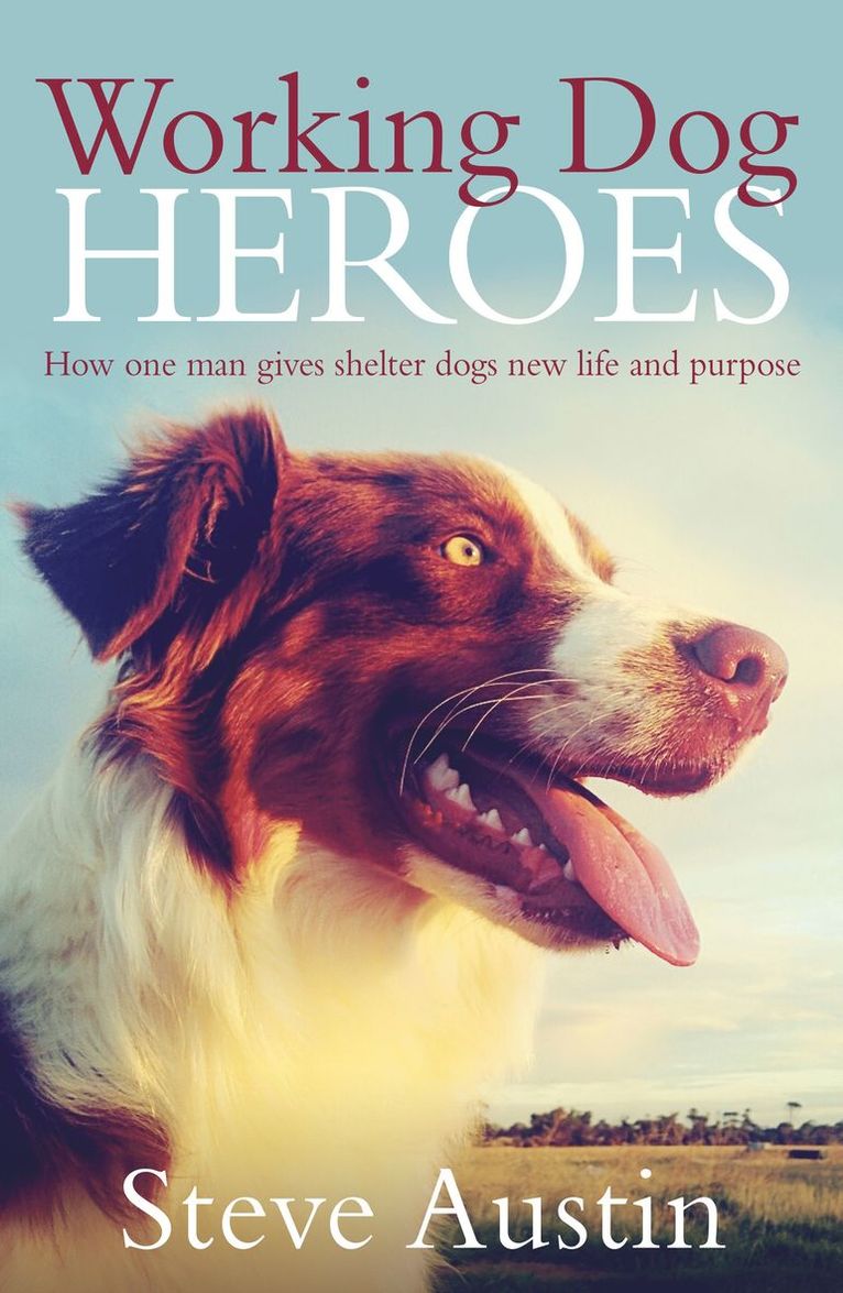 Steve Austin - Working Dog Heroes, Häftad