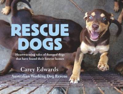 Rescue Dogs: Heartwarming tales of dumped dogs that have found their forever homes