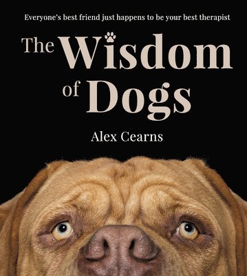 bokomslag Wisdom Of Dogs