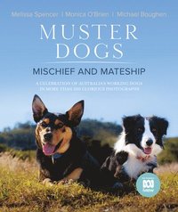 bokomslag Muster Dogs: Mischief and Mateship, a Charming Companion Picture Book to the Upcoming ABC Television Special Where Are They Now, fo