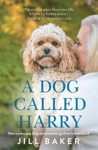 bokomslag A Dog Called Harry