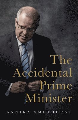 Accidental Prime Minister