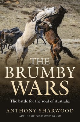 The Brumby Wars 1