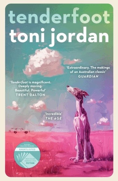 Toni Jordan - Tenderfoot, Häftad