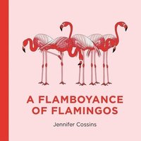 bokomslag A Flamboyance of Flamingos