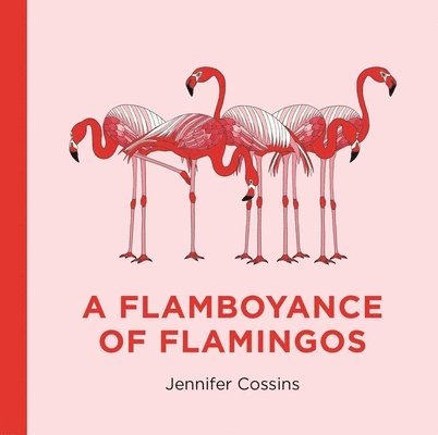 Flamboyance of Flamingos