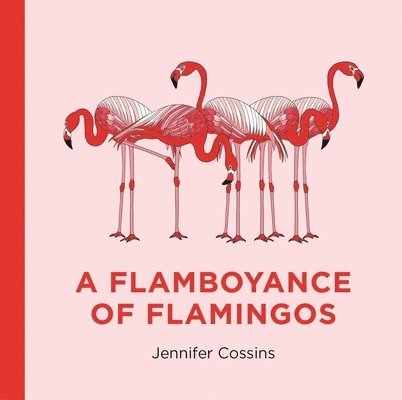 A Flamboyance of Flamingos 1