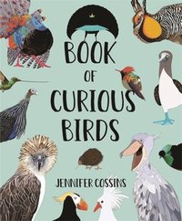 bokomslag Book of Curious Birds