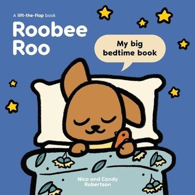 bokomslag Roobee Roo: My Big Bedtime Book