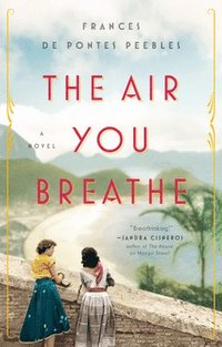 bokomslag The Air You Breathe