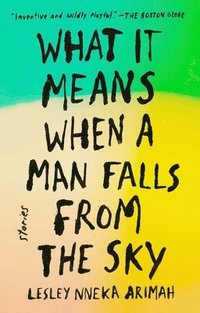 bokomslag What It Means When a Man Falls from the Sky: Stories