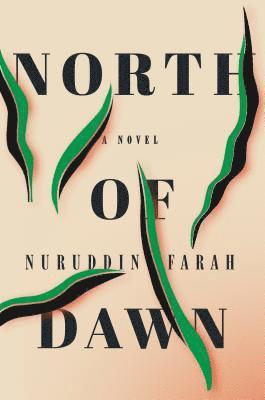 NORTH OF DAWN