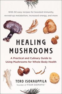 bokomslag Healing Mushrooms