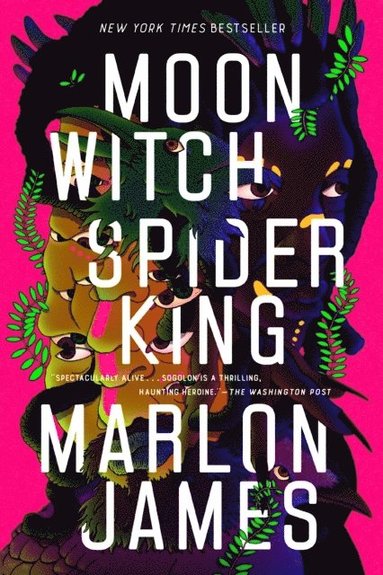 bokomslag Moon Witch Spider King