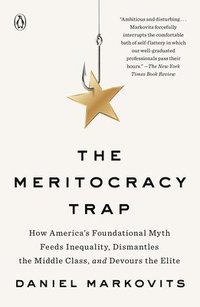 bokomslag Meritocracy Trap