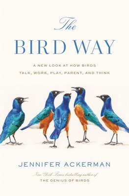 Bird Way 1