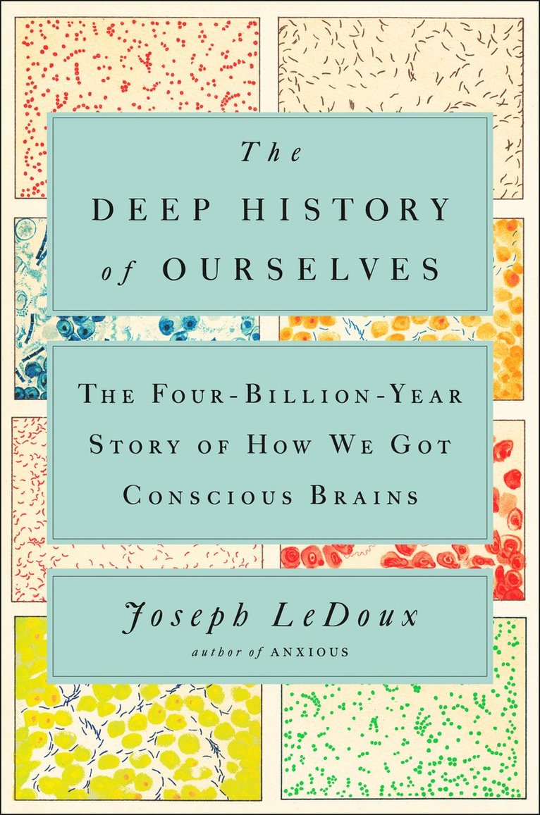 The Deep History of Ourselves 1