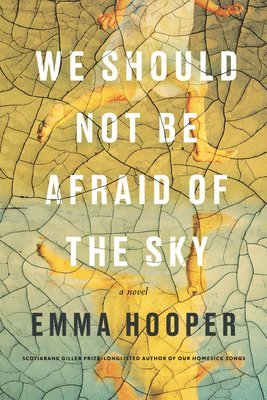 We Should Not Be Afraid of the Sky 1