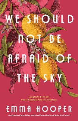We Should Not Be Afraid of the Sky 1