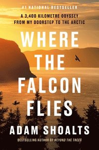 bokomslag Where the Falcon Flies
