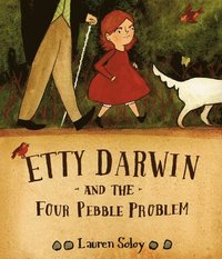 bokomslag Etty Darwin And The Four Pebble Problem
