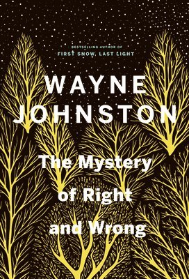 bokomslag The Mystery of Right and Wrong