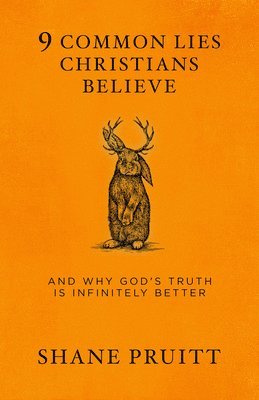 bokomslag 9 Common Lies Christians Believe