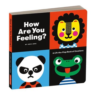 How Are You Feeling Board Book 1