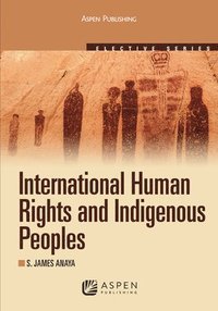 bokomslag International Human Rights and Indigenous Peoples: 2010