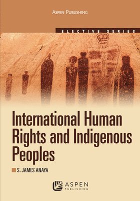 bokomslag International Human Rights and Indigenous Peoples: 2010