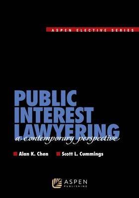 bokomslag Public Interest Lawyering: A Contemporary Perspective