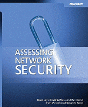 Assessing Network Security