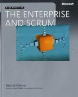 Enterprise and Scrum, The