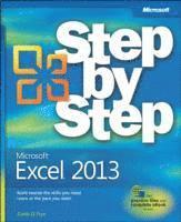Microsoft Excel 2013 Step by Step