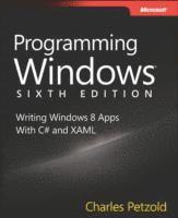 bokomslag Programming Windows