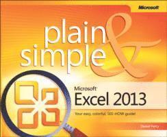 Microsoft Excel 2013 Plain & Simple