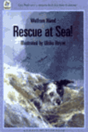 bokomslag Rescue At Sea