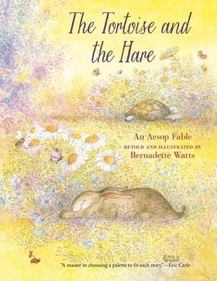 bokomslag The Tortoise and the Hare