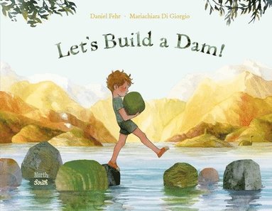 Daniel Fehr, Mariachiara Di Giorgio - Let's Build a Dam!, Inbunden