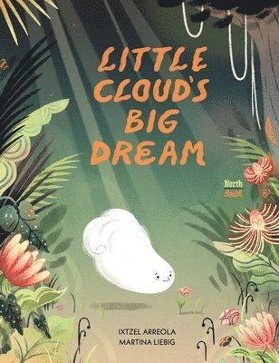 bokomslag Little Cloud's Big Dream