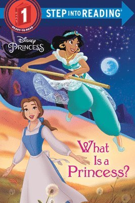 bokomslag What Is a Princess? (Disney Princess)