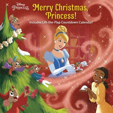 bokomslag Merry Christmas, Princess! (Disney Princess)