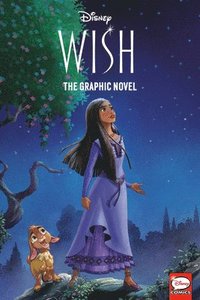 bokomslag Disney Wish: The Graphic Novel