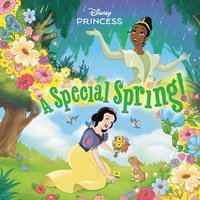 bokomslag A Special Spring! (Disney Princess)