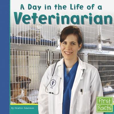 Community Helpers at Work Day in the Life of a Veterinarian 1