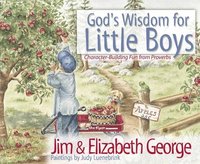 bokomslag God's Wisdom for Little Boys