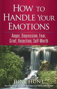 bokomslag How to Handle Your Emotions