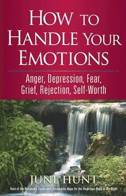 How to Handle Your Emotions 1