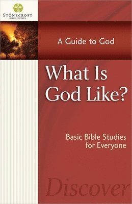 bokomslag What Is God Like?